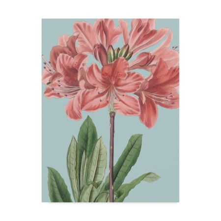 Vision Studio 'Fresh Florals Iii' Canvas Art,14x19